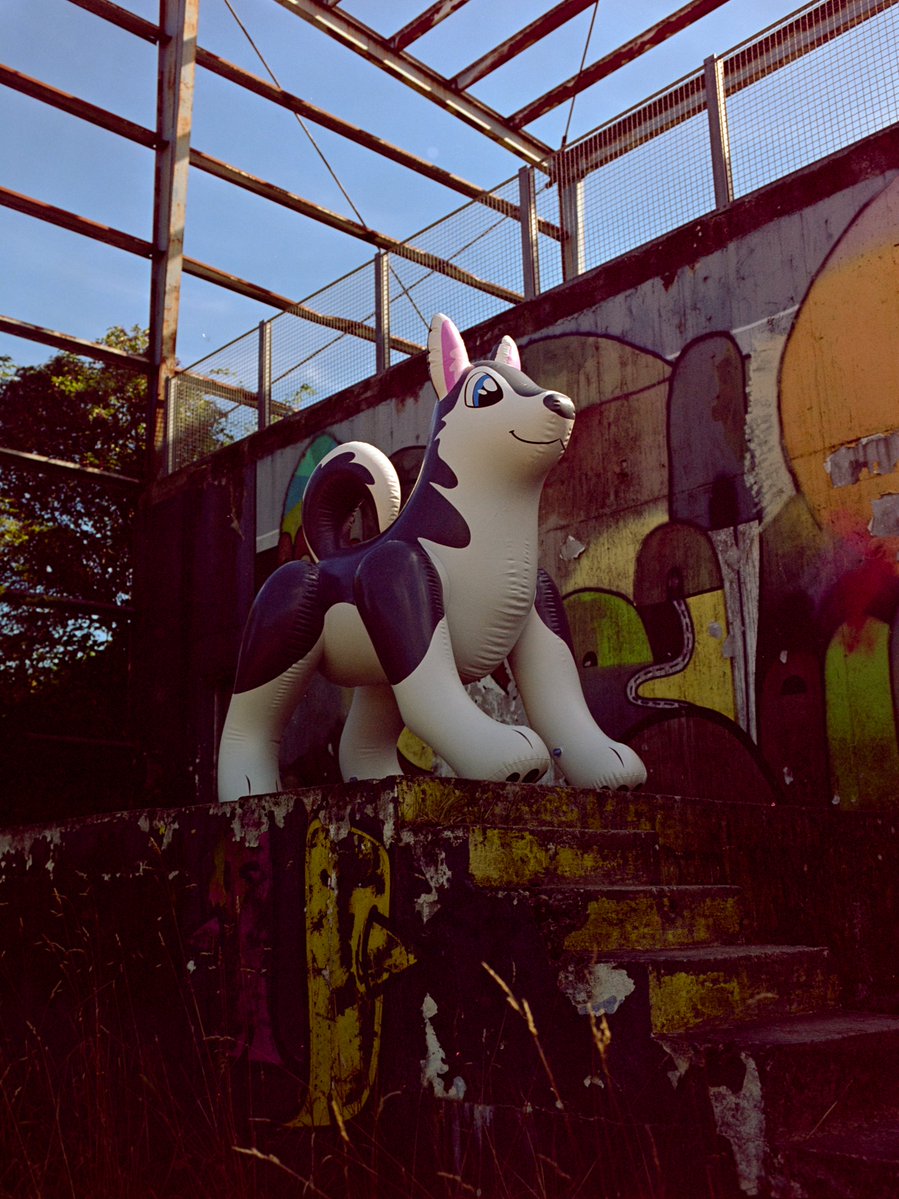 Lisichka tweet media