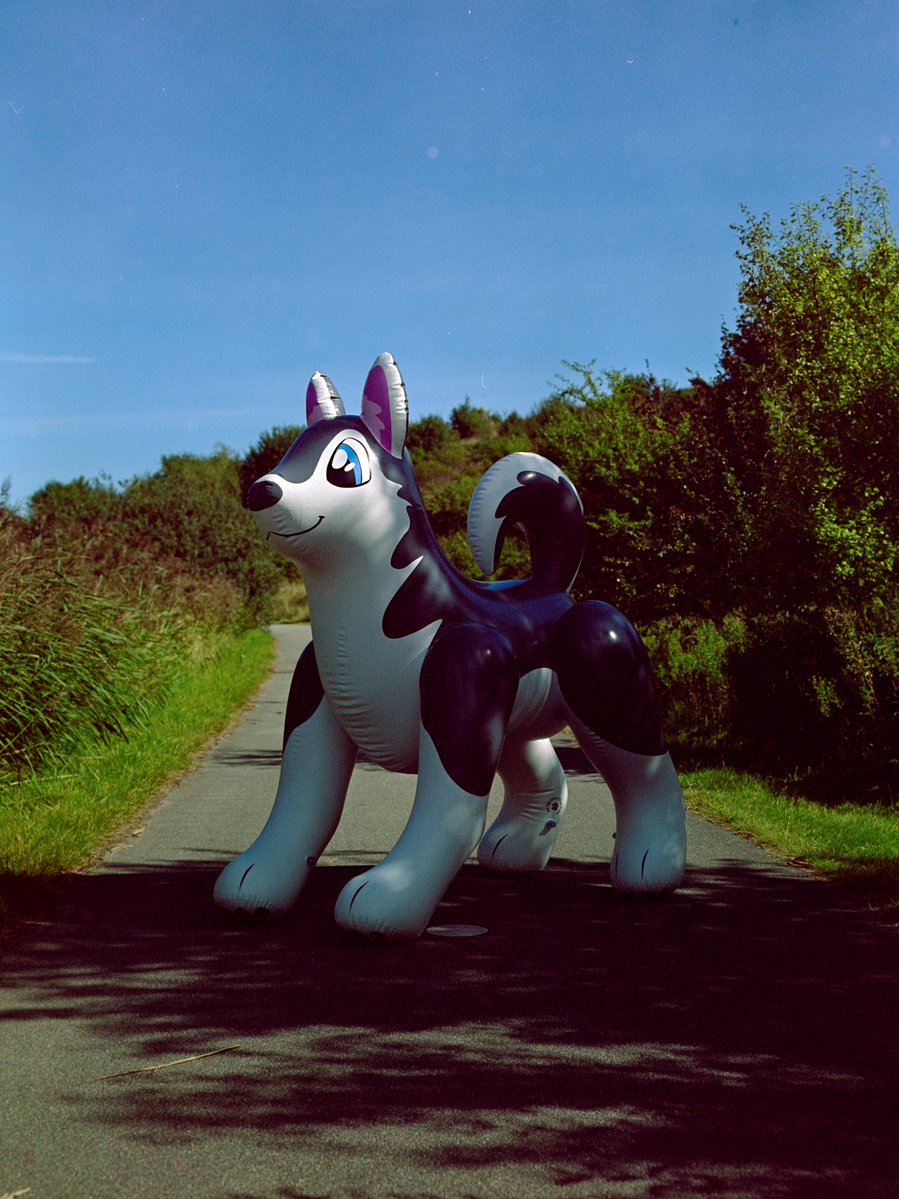 Lisichka tweet media