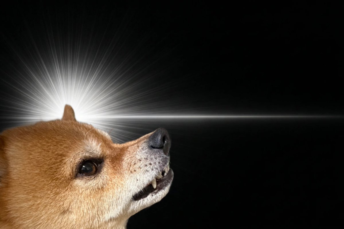 ころみん tweet media