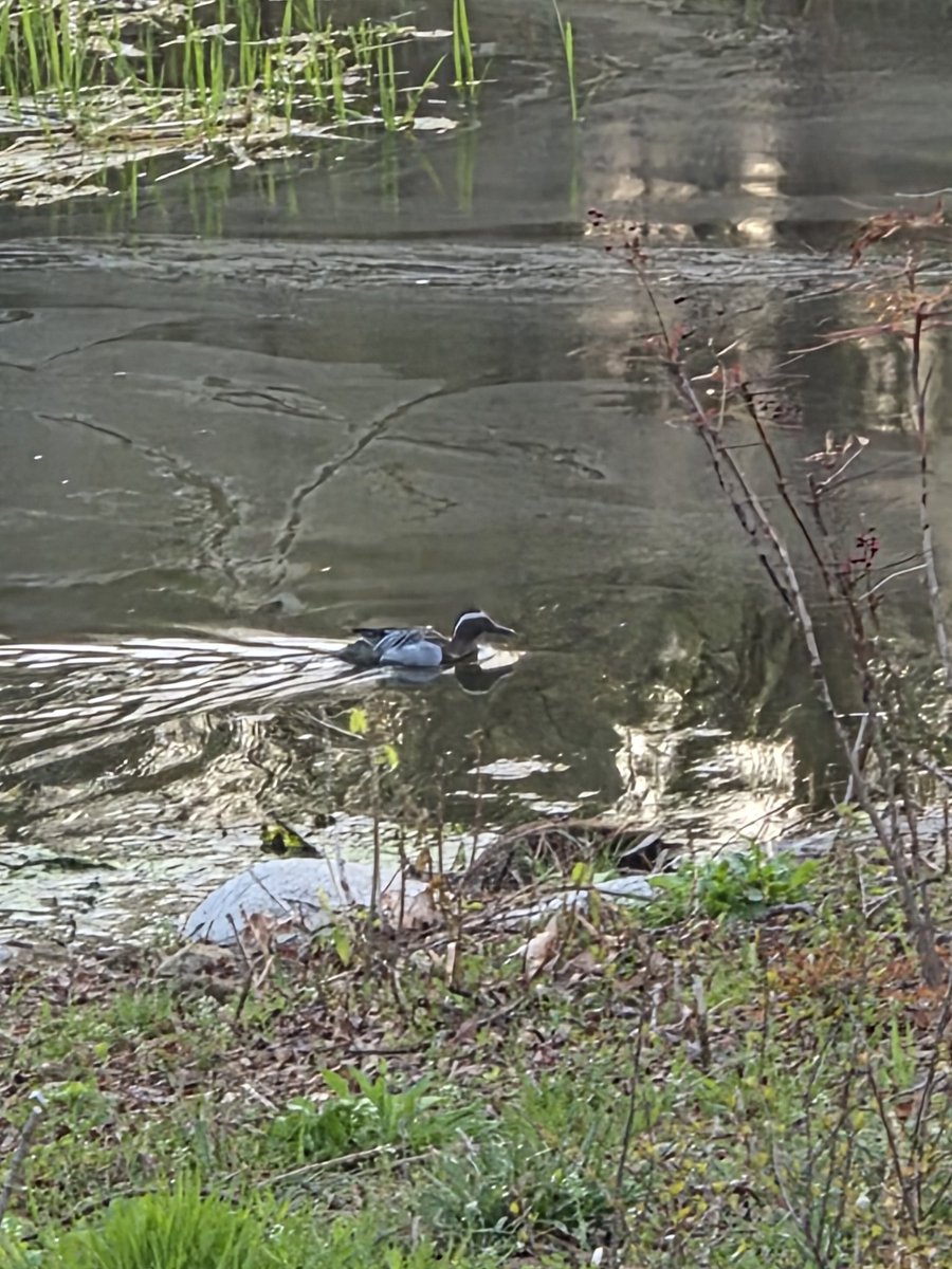 오리넉울 tweet media