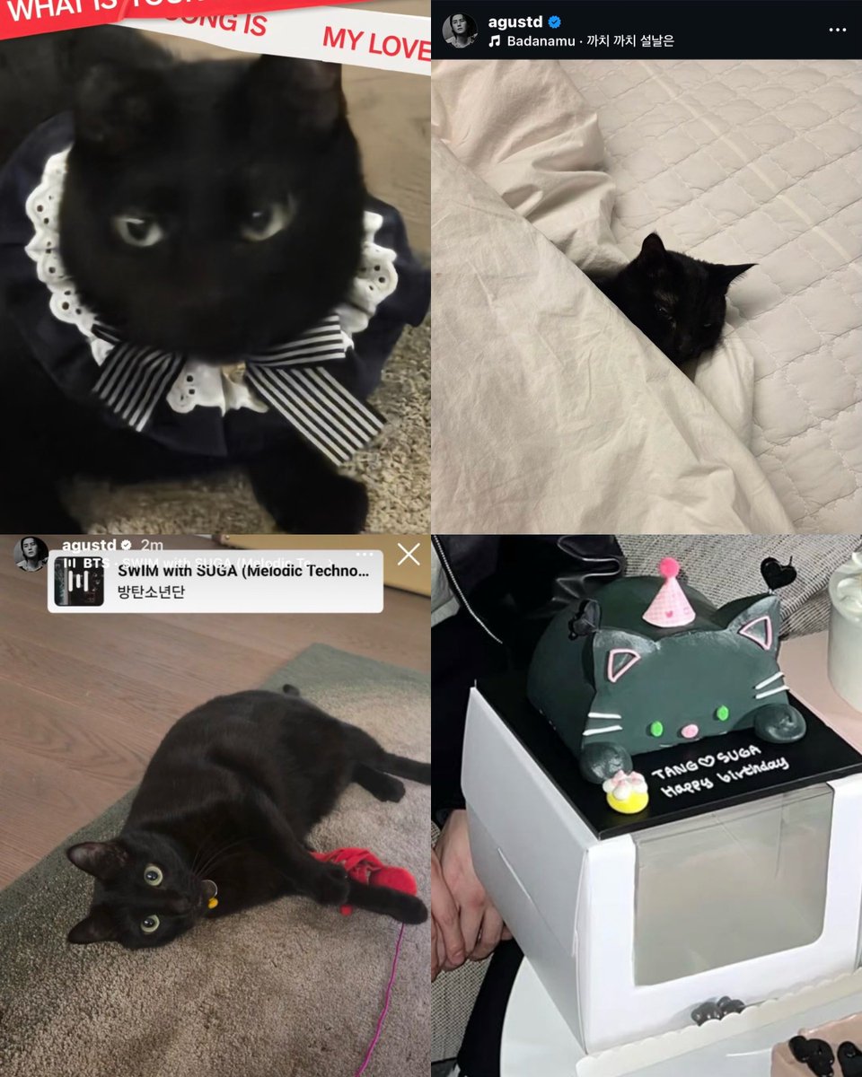 mely⁷ | ⊙⊝⊜ tweet media