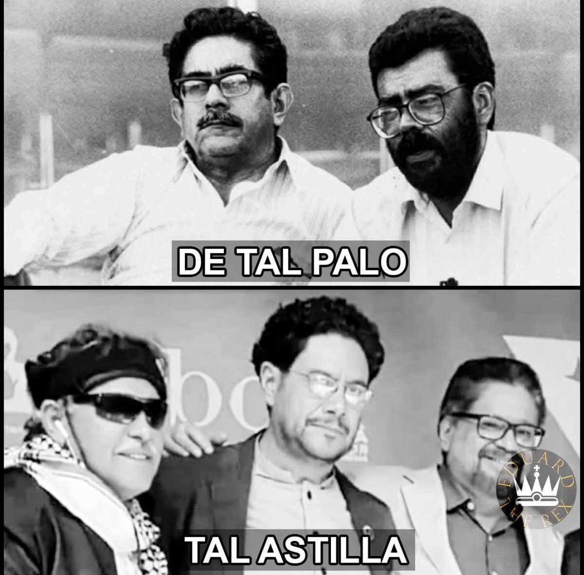 Salomé S. tweet media