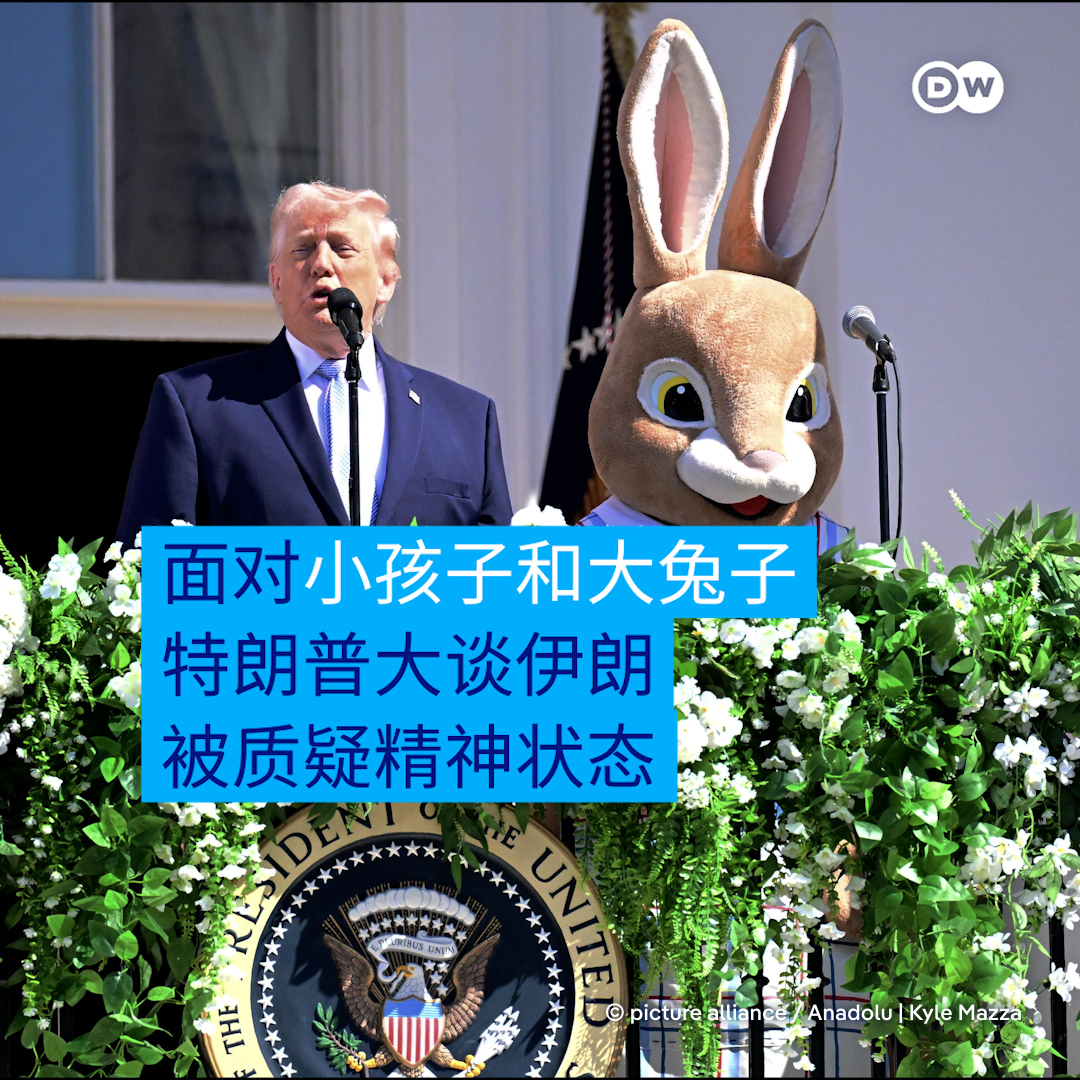 DW 中文- 德国之声 tweet media