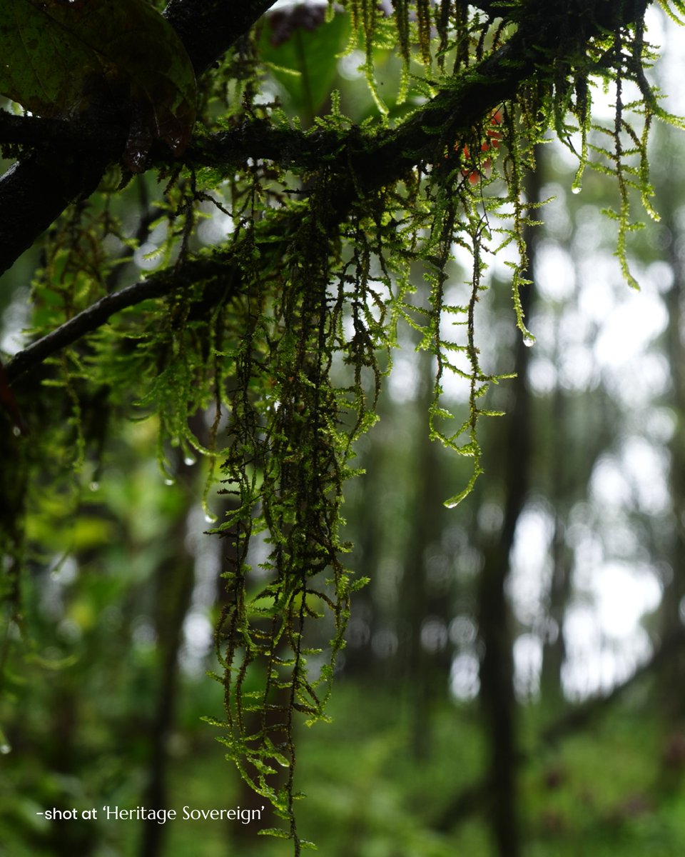 indutopiaa's tweet photo. Pure. Raw. Real. 🌿
Experience nature in its most authentic form at Utopiaa – Heritage Sovereign.
Where untouched land meets timeless value, and every moment feels grounded in reality.

📞 +91 97391 21211
🌐 https://t.co/2StbCNLEcc https://t.co/G0ZKv27DdS