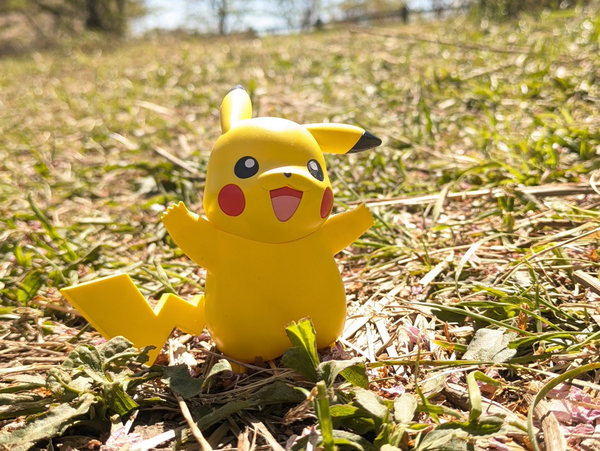 か(ω)も tweet media