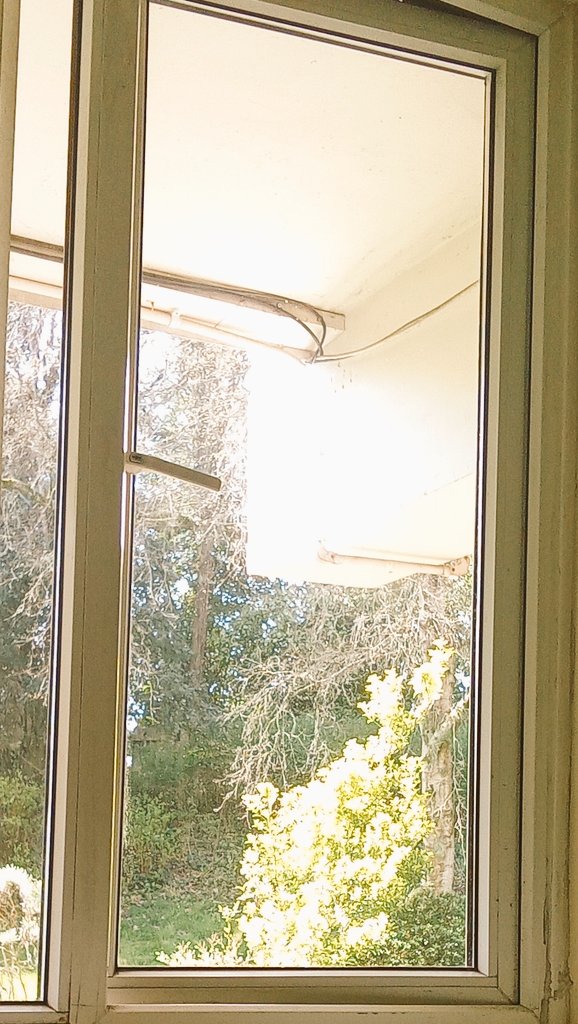 PaulPorter6's tweet image. View from my sofa 
A magpie is outside the window 
The sun shines while I decide what to do with my day
#thought