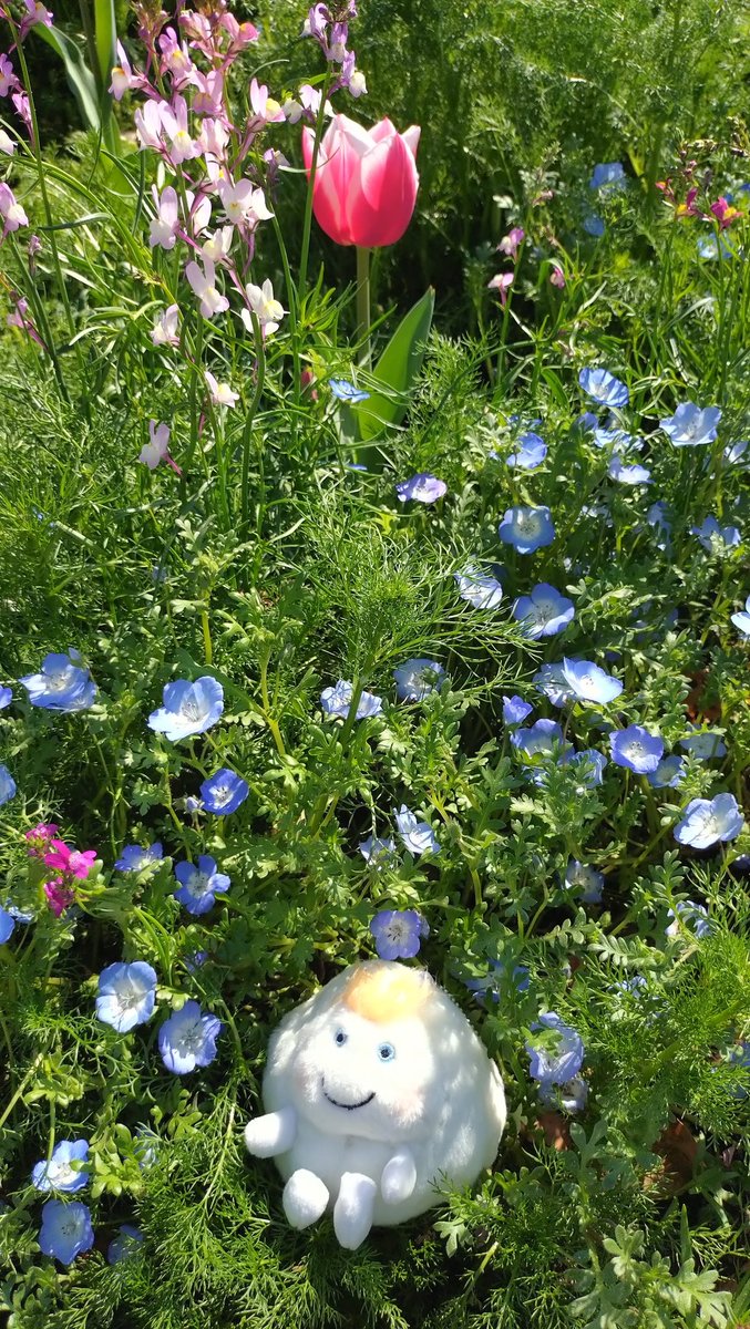 Yamako551's tweet photo. ◆4月外来(4/1)
マーカーどっちも「6」で特になし
細胞診の件で連絡なかったから進級かな…次回8月

今日はメロン🍈フラペチーノしてから
カメラ持って昭和記念公園にバイクで行ってきました〜🍀 https://t.co/oUgLLC5P8y