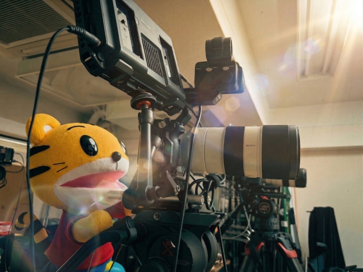 しまじろうのわお！【公式】 tweet media