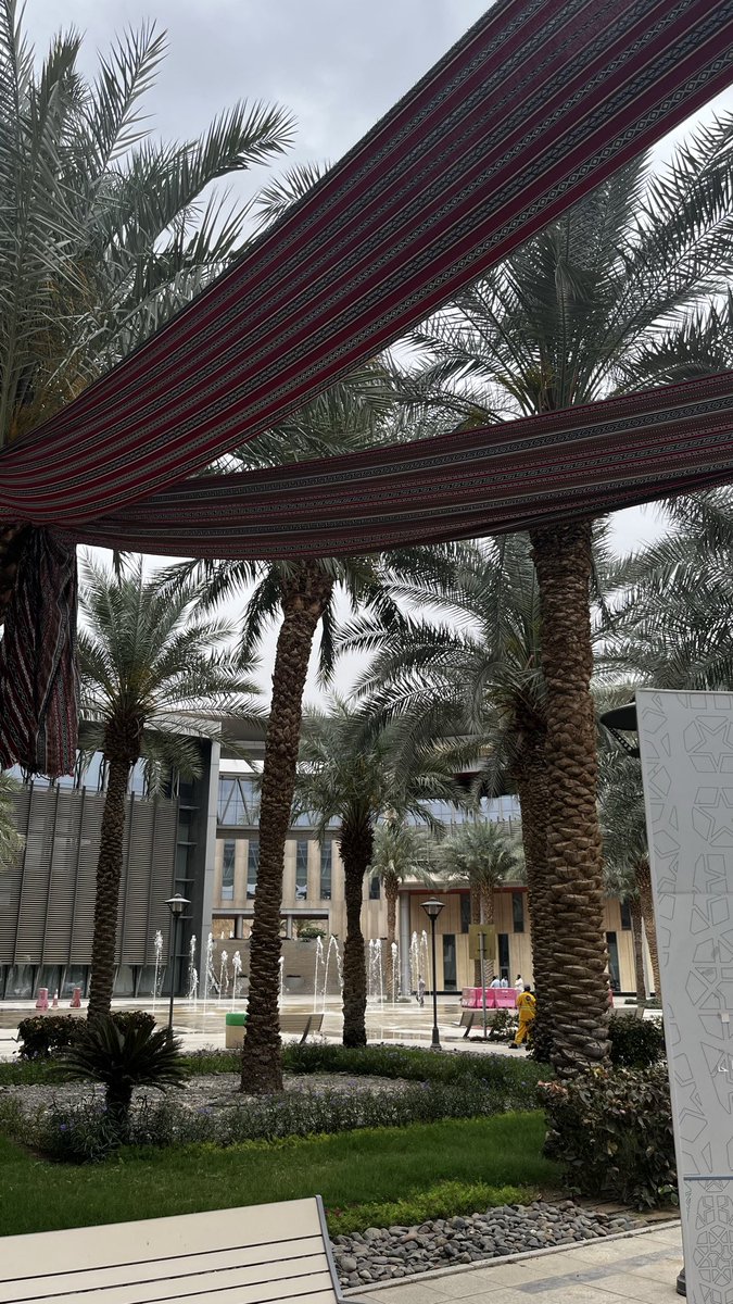 S 👸🏻 tweet media