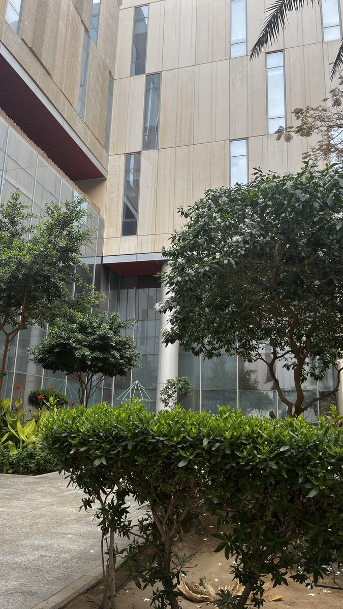 S 👸🏻 tweet media