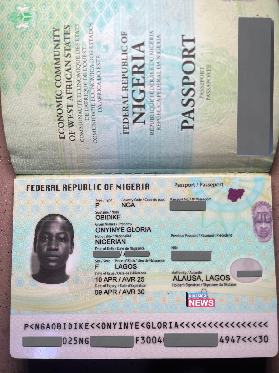 IGBO History & Facts tweet media