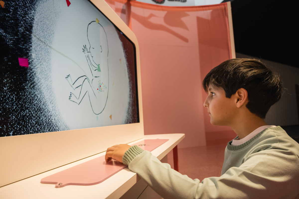 Ciudad Artes Ciencia tweet media