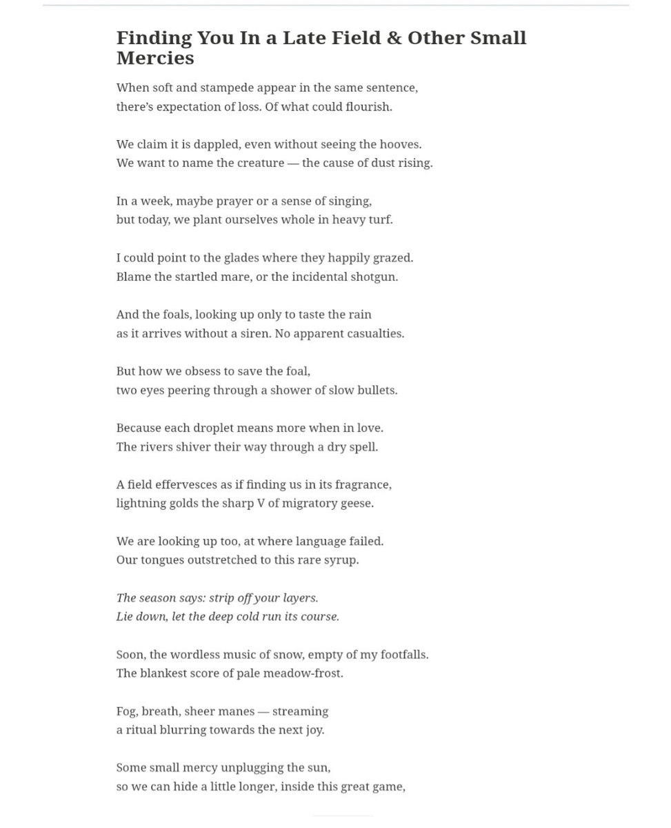 Vikki C. tweet media