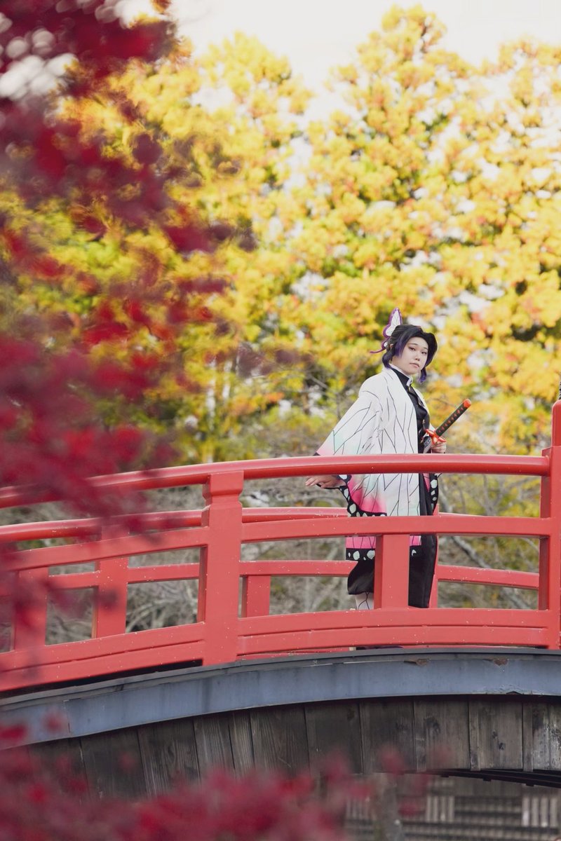 u_ta_01's tweet photo. 鬼i滅iのi刃 ／ cosplay  ／ 胡i蝶iしiのiぶ

photo：nさん

#こす旅
#edocos
#EDOCOS https://t.co/C5izNshCMd