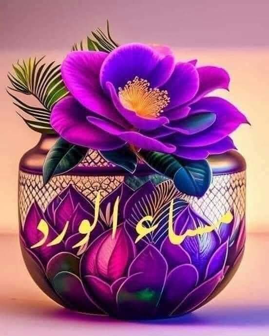 𝓜𝓸𝓷𝔂 tweet media