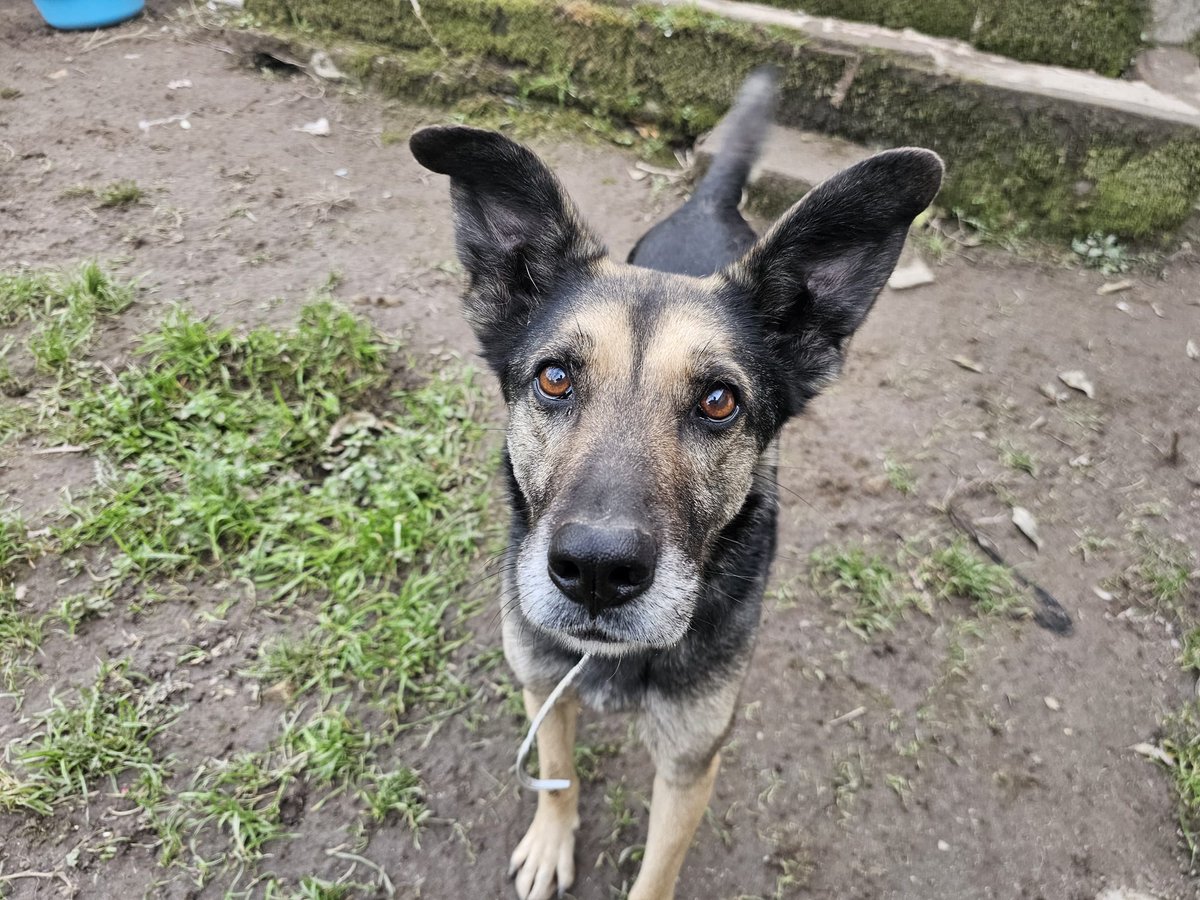 ᑭᏞᗩᑎᗴᎢᗩ Ꮓᗩᖇᑭᗩ tweet media