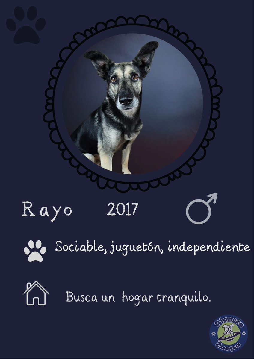 ᑭᏞᗩᑎᗴᎢᗩ Ꮓᗩᖇᑭᗩ tweet media