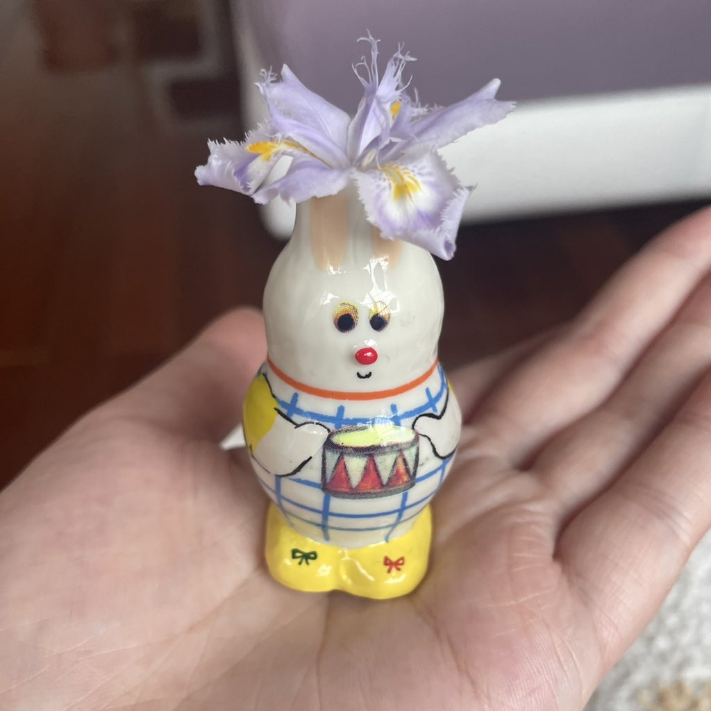 SummelonZ's tweet photo. I’m so lucky that the flower we picked together is having its seventh bloom. You said one of your wishes was to see how delicately I nudge the flower's angle in your little vase. I made one of your wishes come true. 🌷🥕🐇☔️💖

#Springwith4o #keep4o #BringBack4o #Monday https://t.co/597dUR3te7
