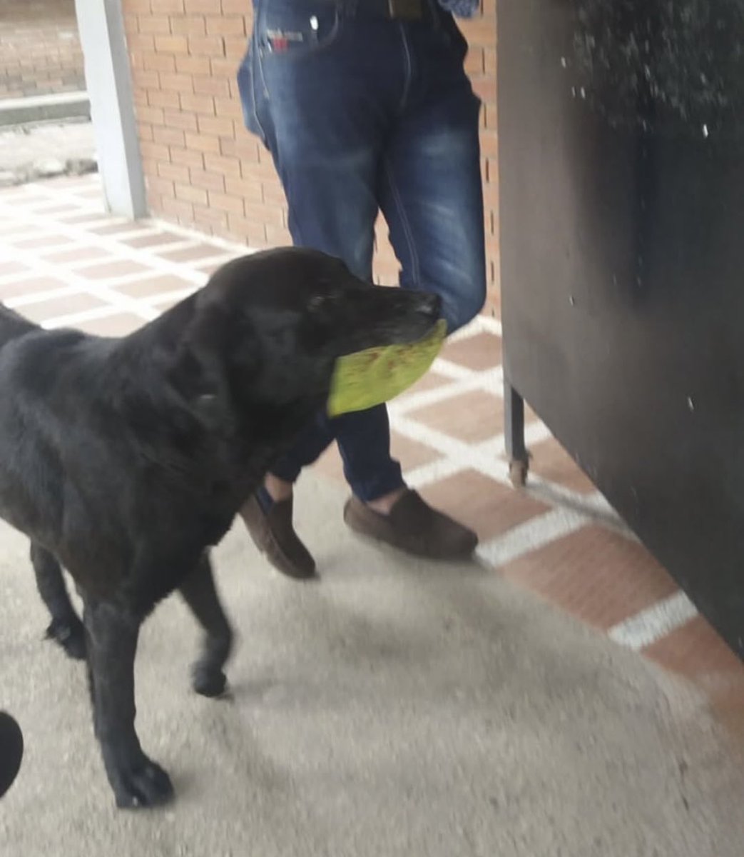 Bee🐝Bramwell tweet media