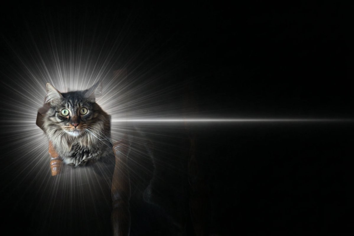 なずね🐈🎷🎶:🍏 tweet media