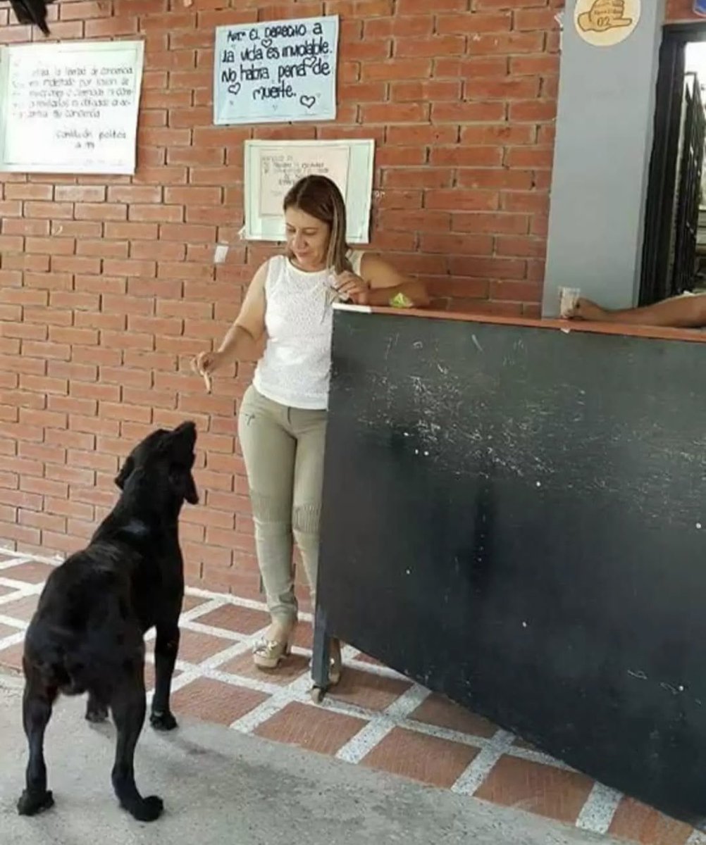 Bee🐝Bramwell tweet media