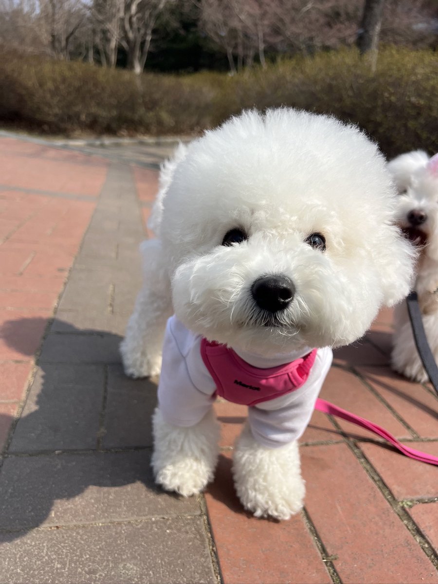 BLRO(블로) tweet media