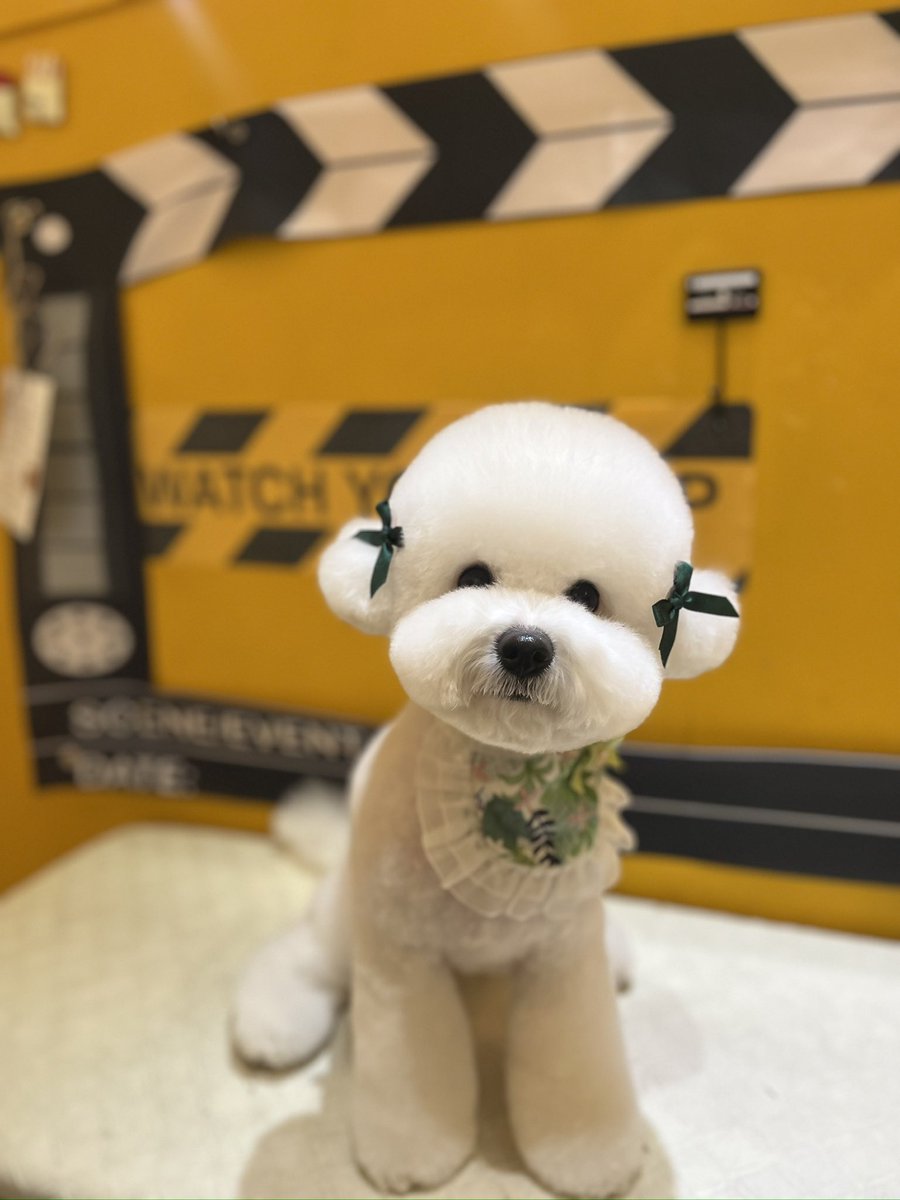 BLRO(블로) tweet media