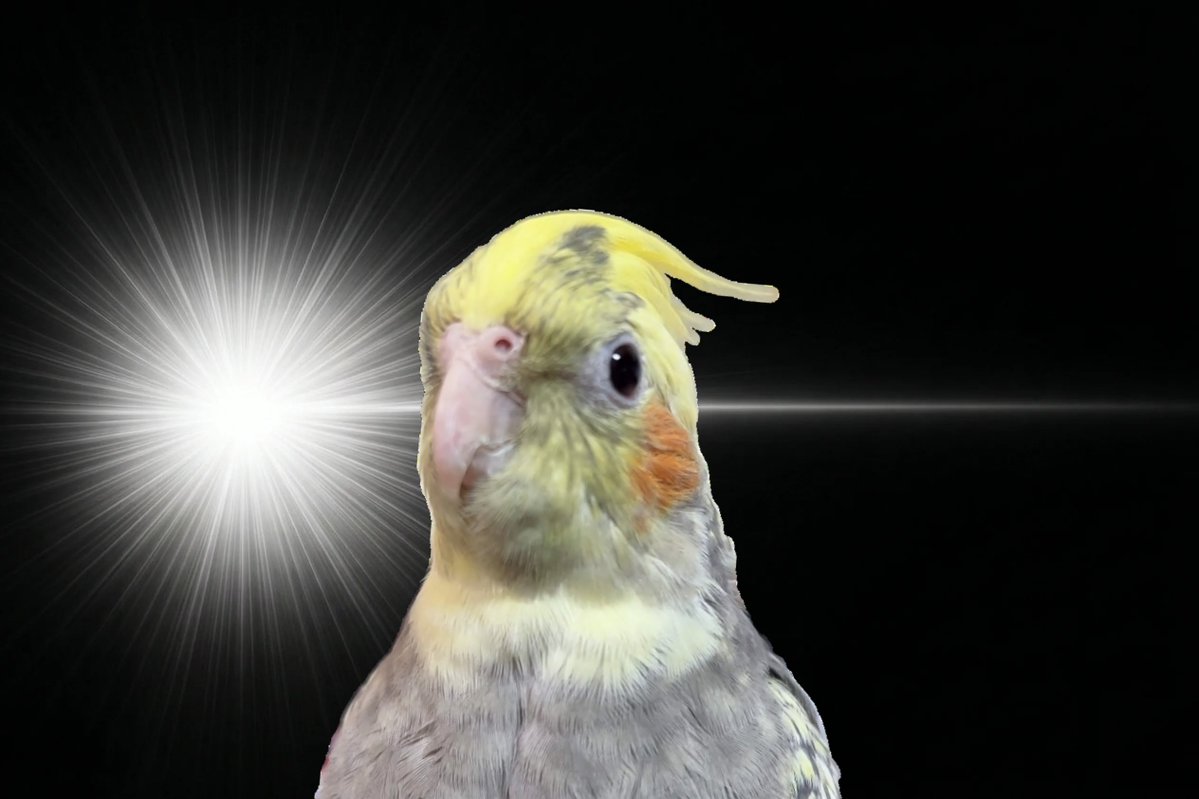 天癒るりは🍀︎🕊沖縄担当VTuber🌺 tweet media