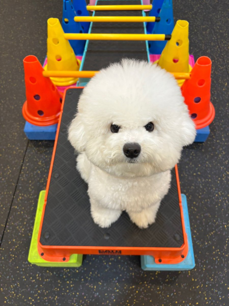 BLRO(블로) tweet media