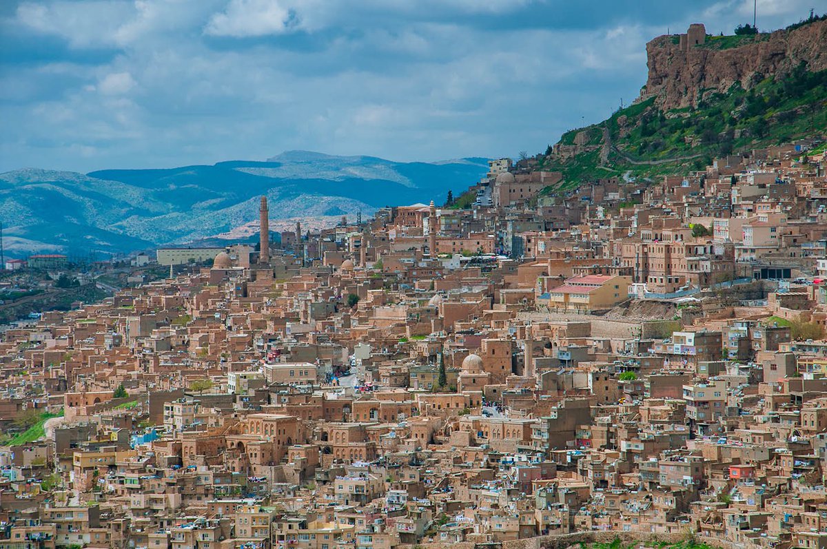 Mimarizm tweet media