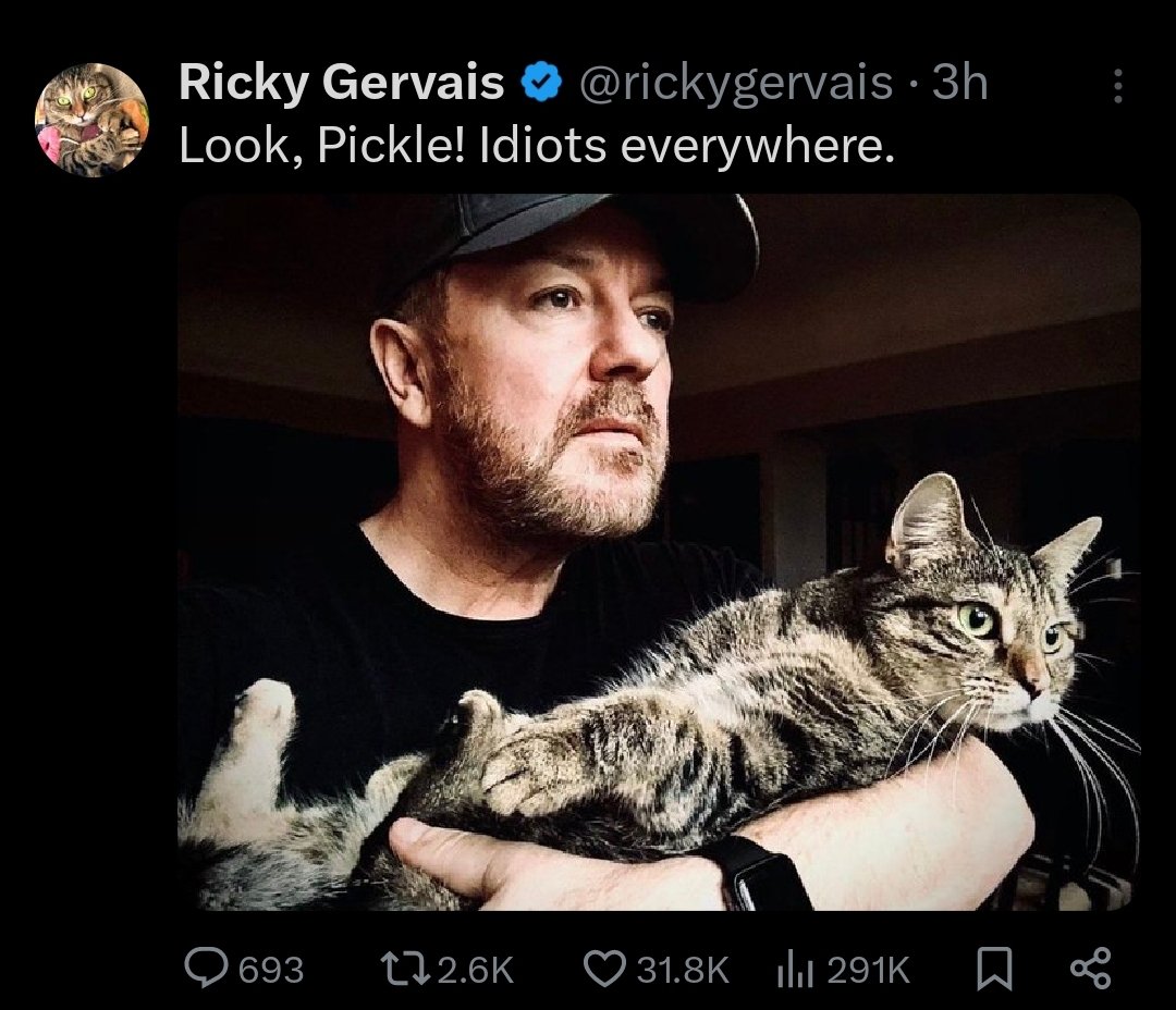 𝙅𝙤𝙨𝙚́ tweet media