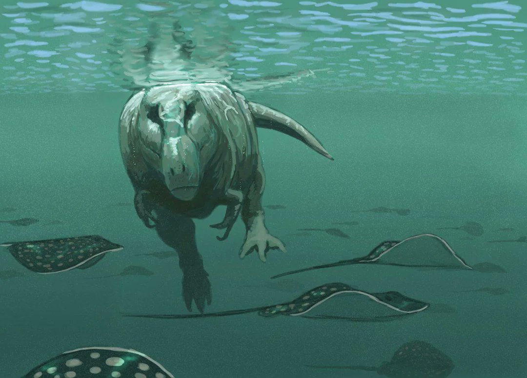DiscussingBones's tweet photo. Scientists declare we are officially in a new geologic era, dubbed the Cretwoceous. The implications of this change are not fully understood.

Source: @NPR https://t.co/4M3sSyId3j