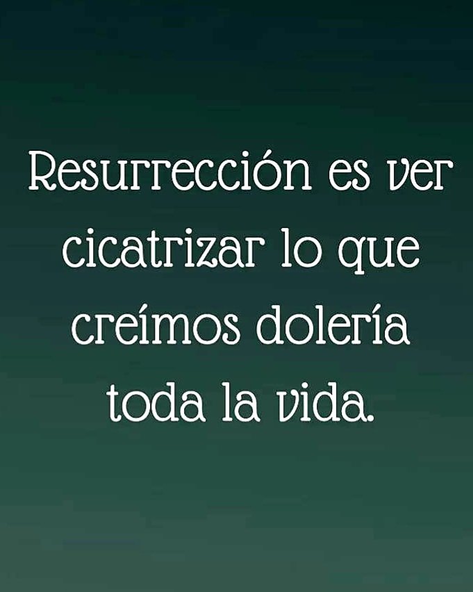 Padre César Piechestein tweet media