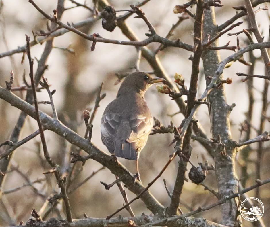 Українські Новини tweet media