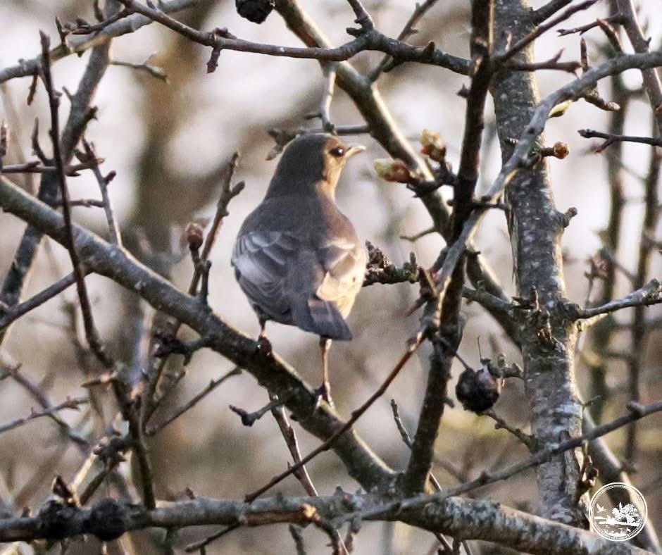 Українські Новини tweet media