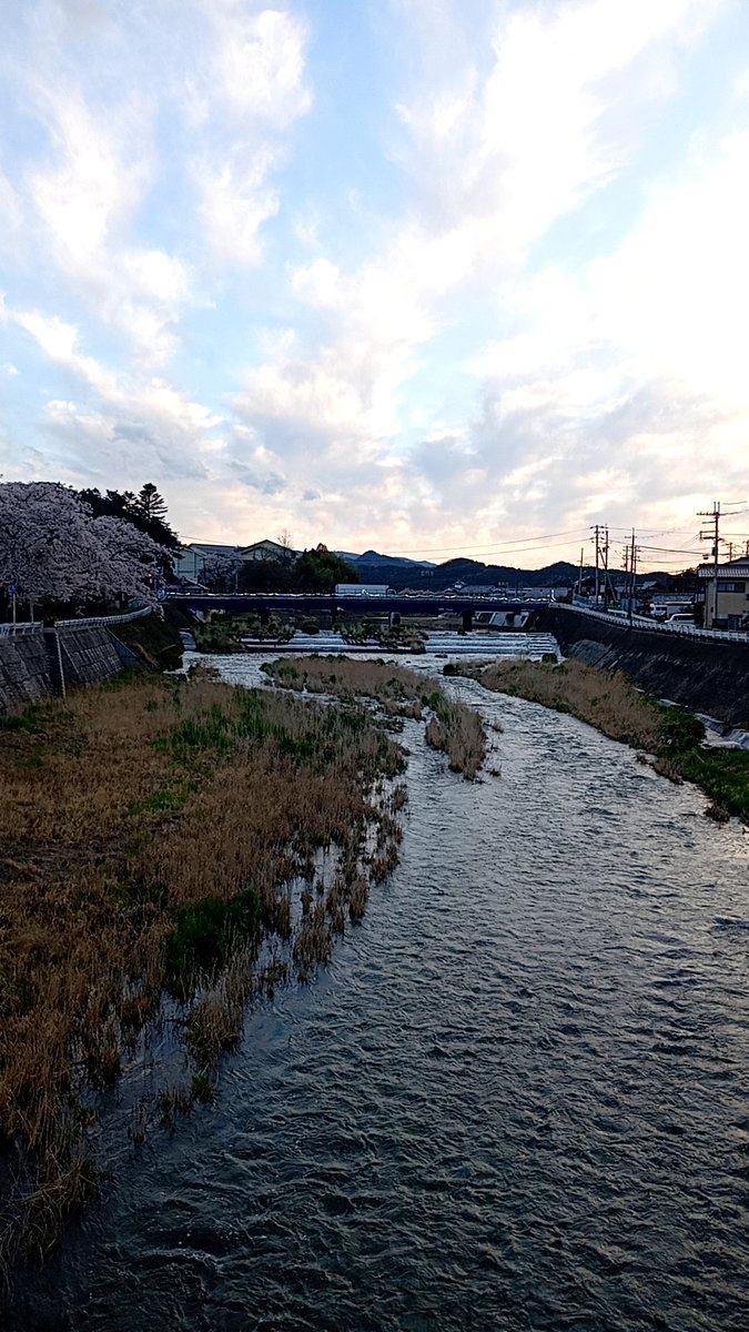 藍淡 tweet media