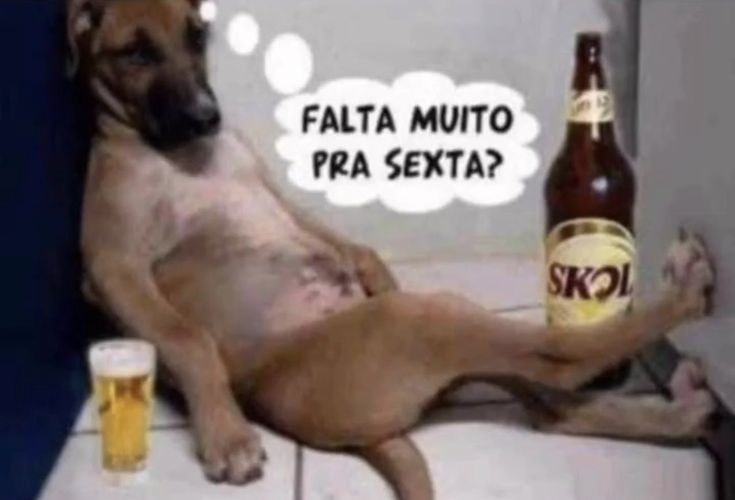 clara ೀ☆Ψ tweet media