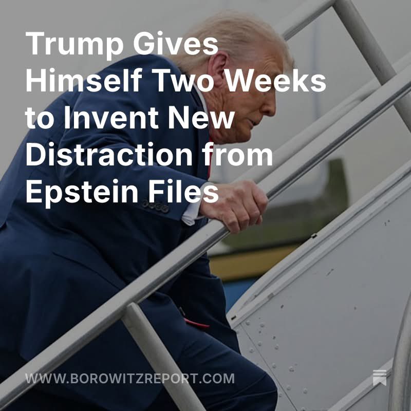 ColinZHall tweet media