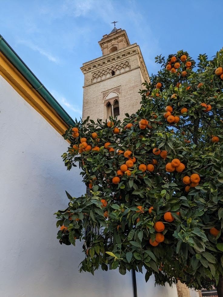 Magical Spain tweet media