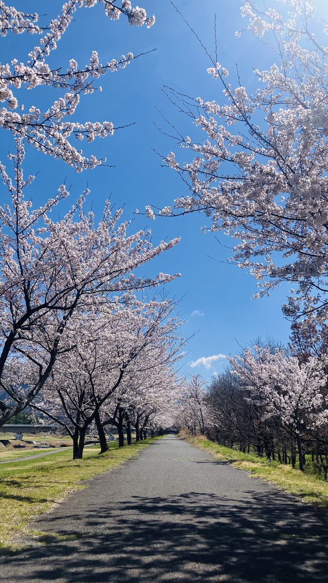 こ🧩じ tweet media