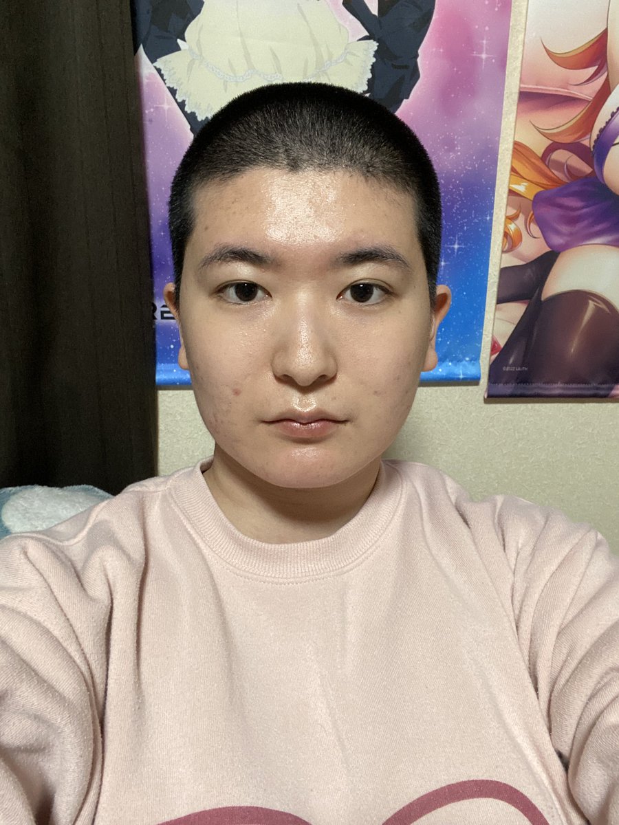 hamusuko2 tweet media