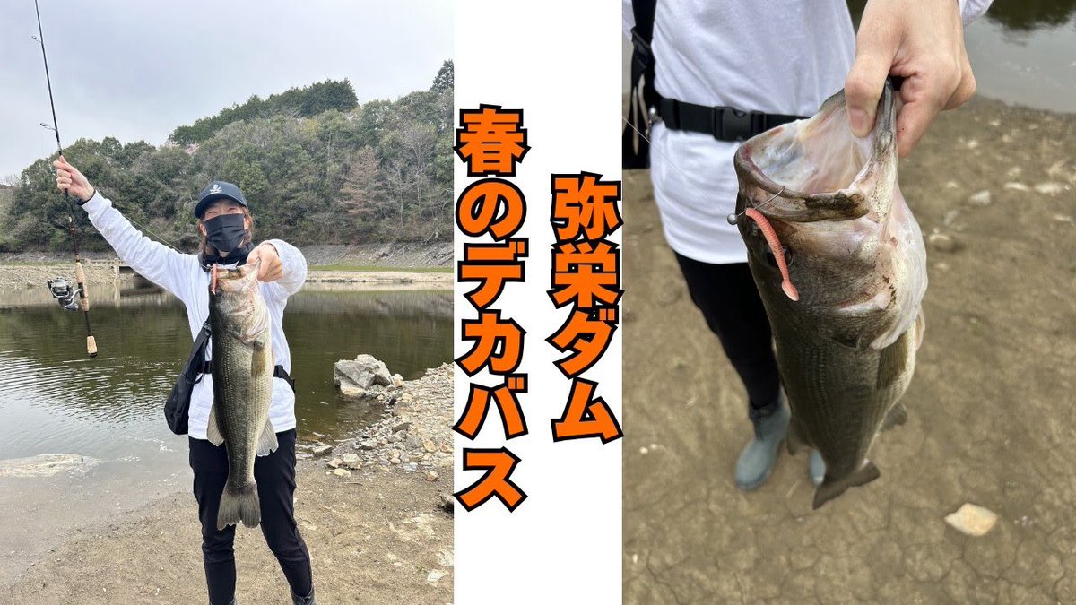 くらチャンネル tweet media