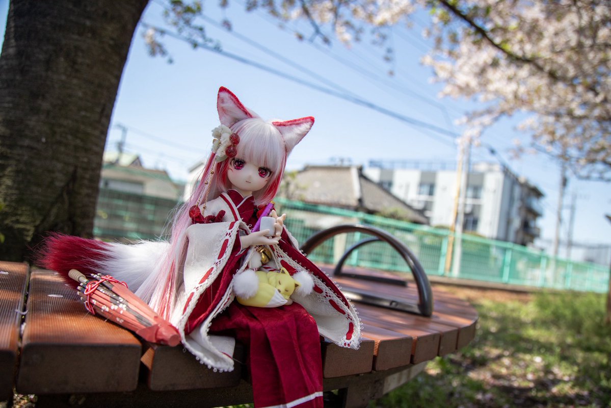 𝓝𝓮𝓴𝓸 𝓨𝓪𝓶𝓲 tweet media