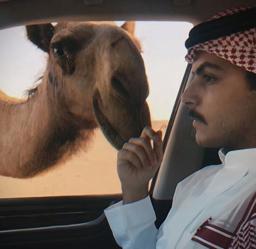 toot_sii's tweet image. الله لو يجينا ابديت جديد لهالصور🥹🥹