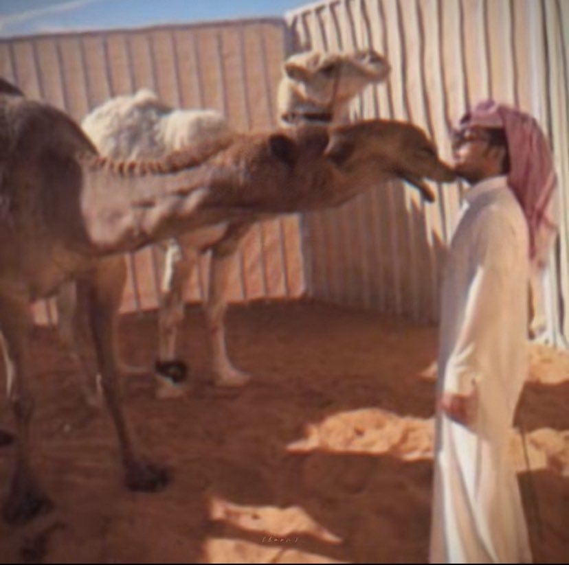 toot_sii's tweet image. الله لو يجينا ابديت جديد لهالصور🥹🥹