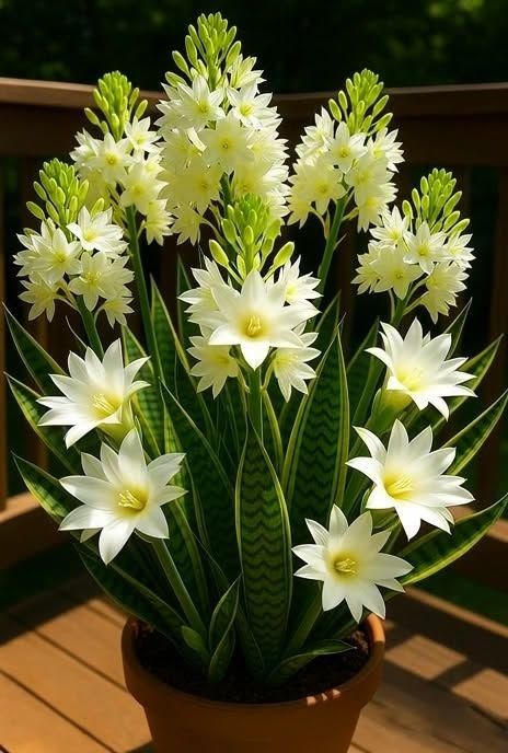 Rita Bibekum Aya🇨🇲🇩🇰 tweet media