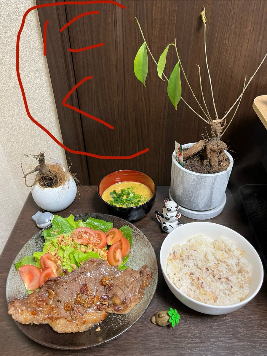 しょたろ( ´灬` ) tweet media