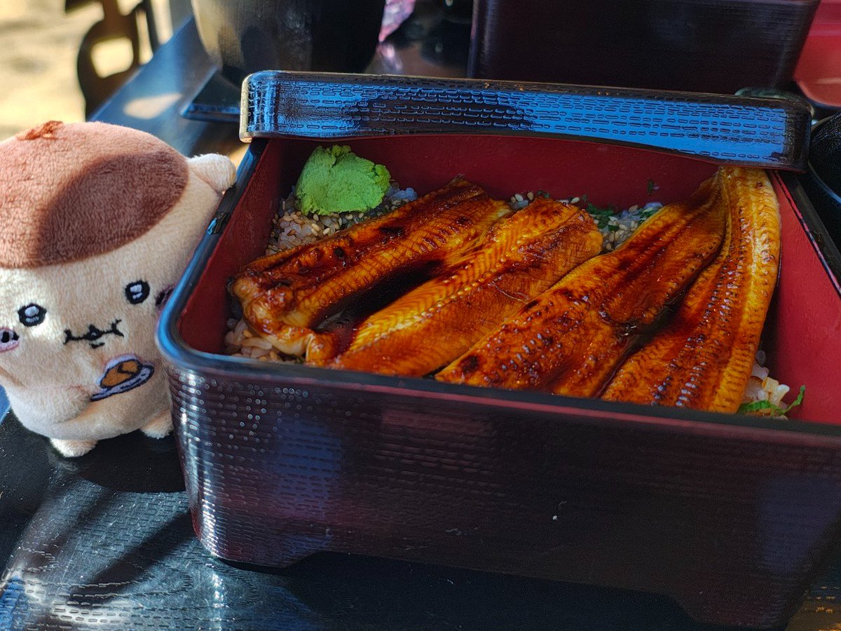 SAGARA@『城東鯨飲馬食団』『ねこのあきち』 tweet media