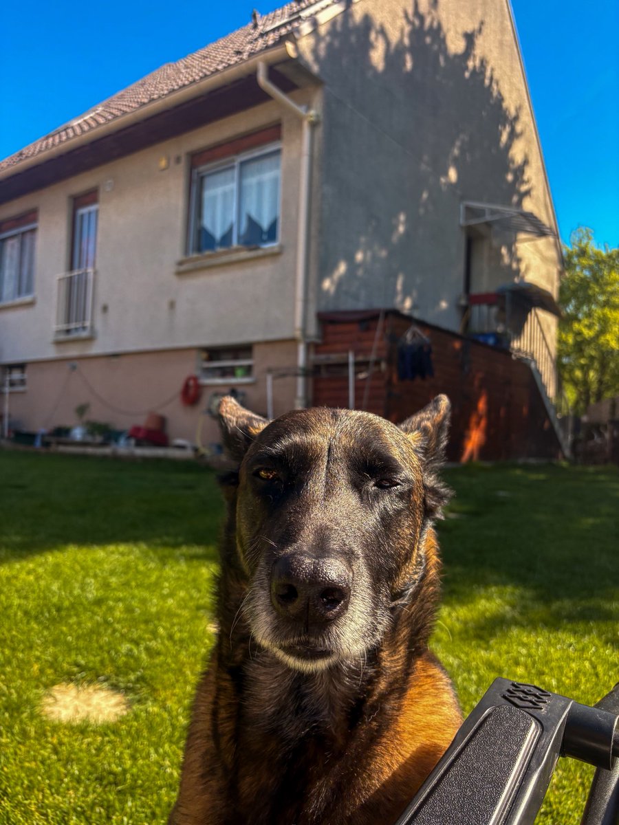 ស្នេហា tweet media