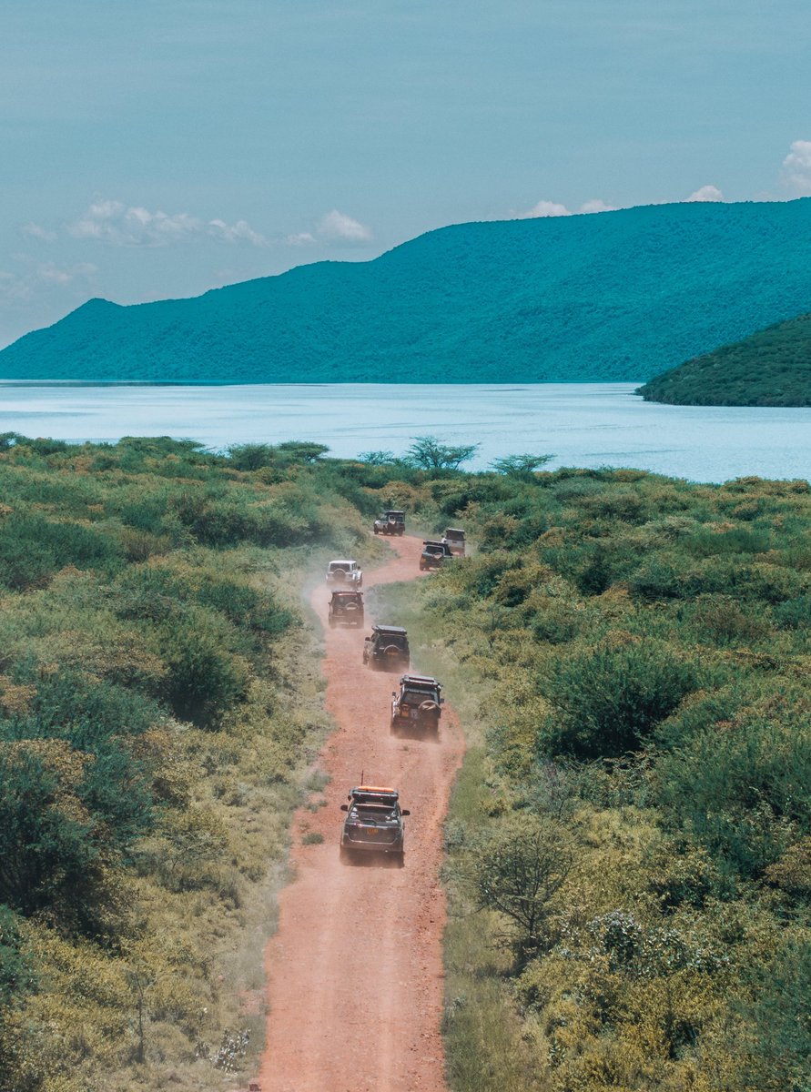 Festo Kato tweet media